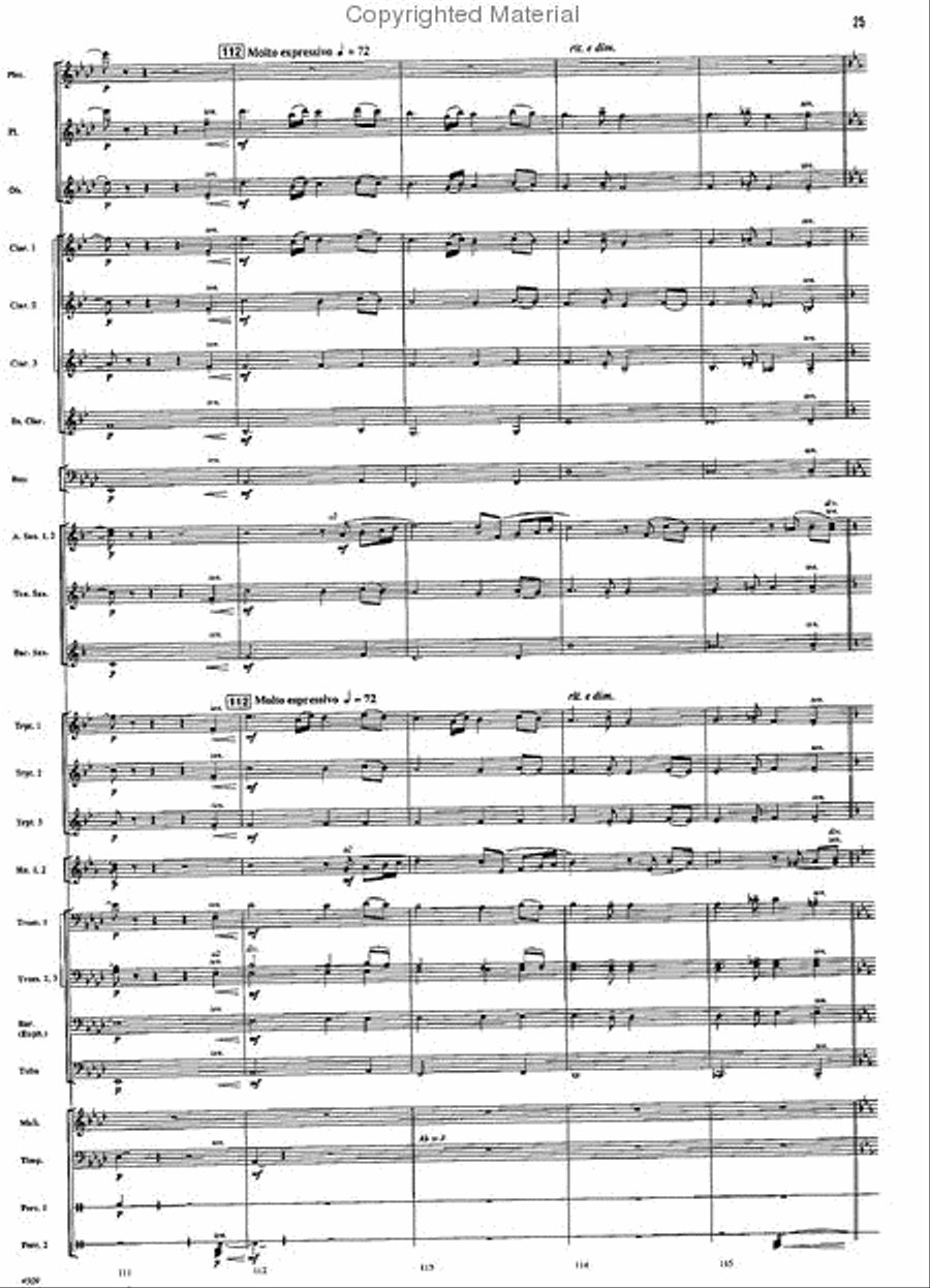 A Vision of Majesty A Vision of Majesty Concert Band scores gallery preview page 24