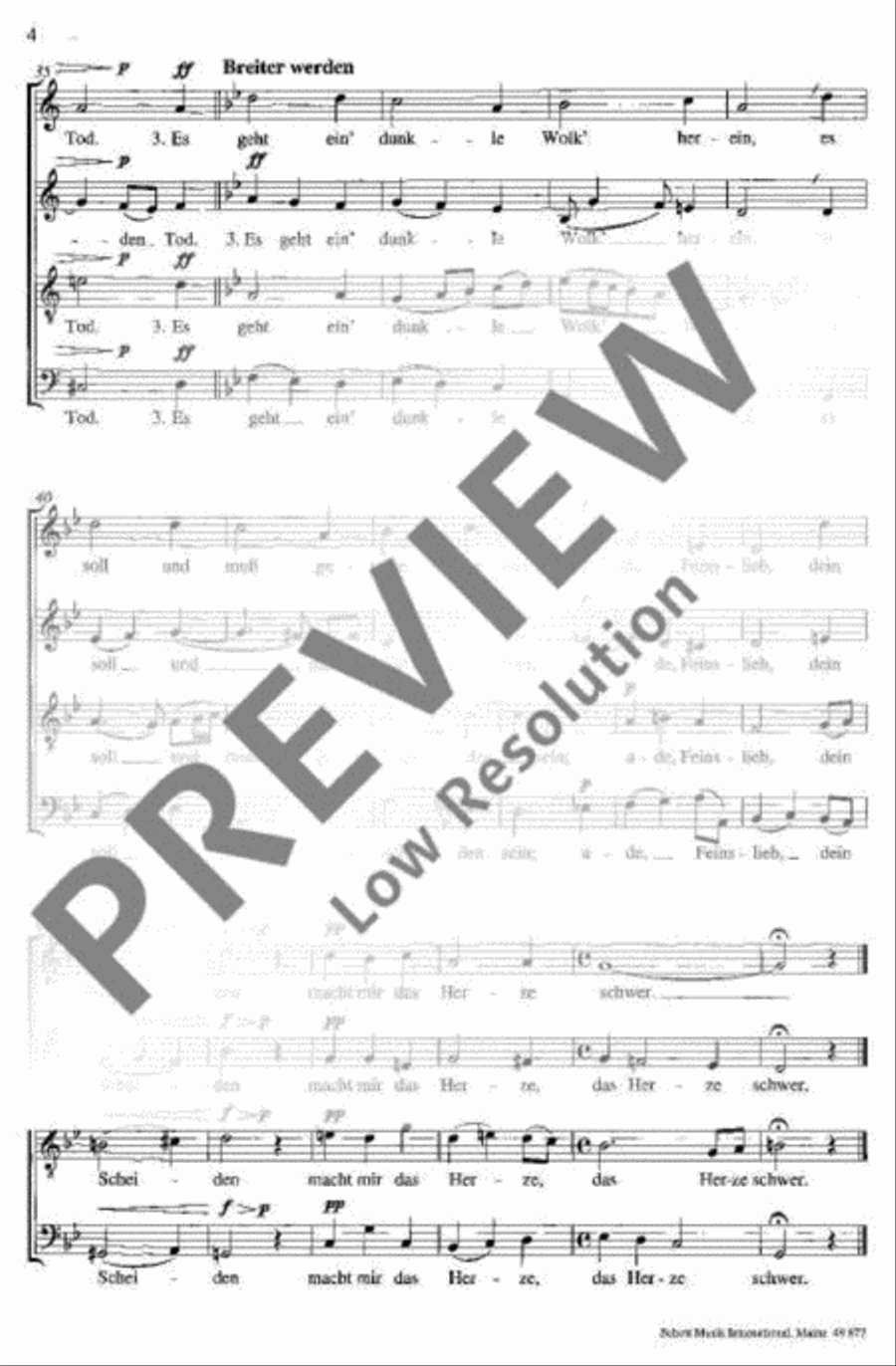 Es geht ein' dunkle Wolk' herein 4-Part scores gallery preview page 4