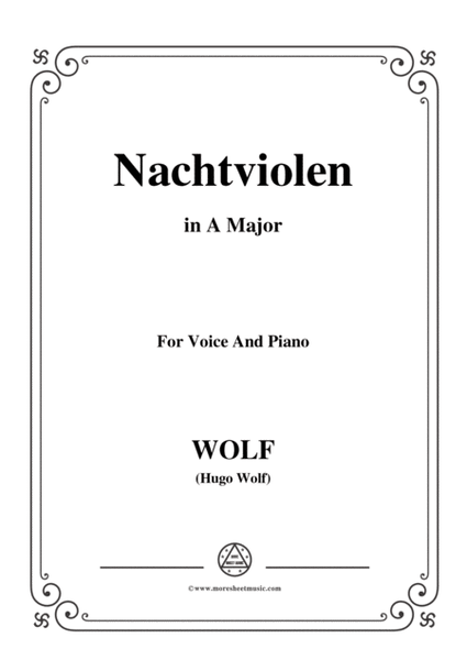 Wolf-Nachtviolen in A Major,for voice and piano image number null