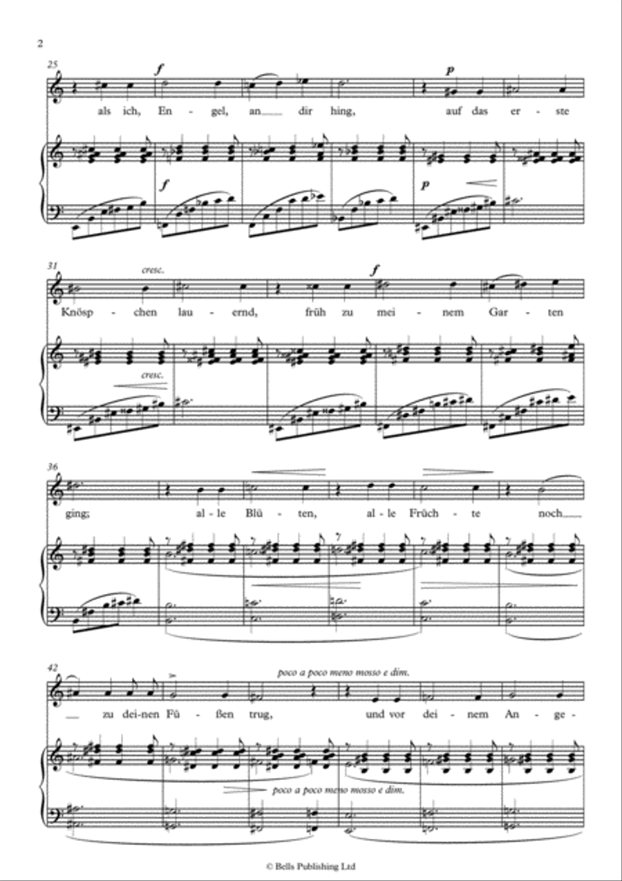 Zur Rosenzeit, Op. 48 No. 5 (A minor) Voice Solo scores gallery preview page 2