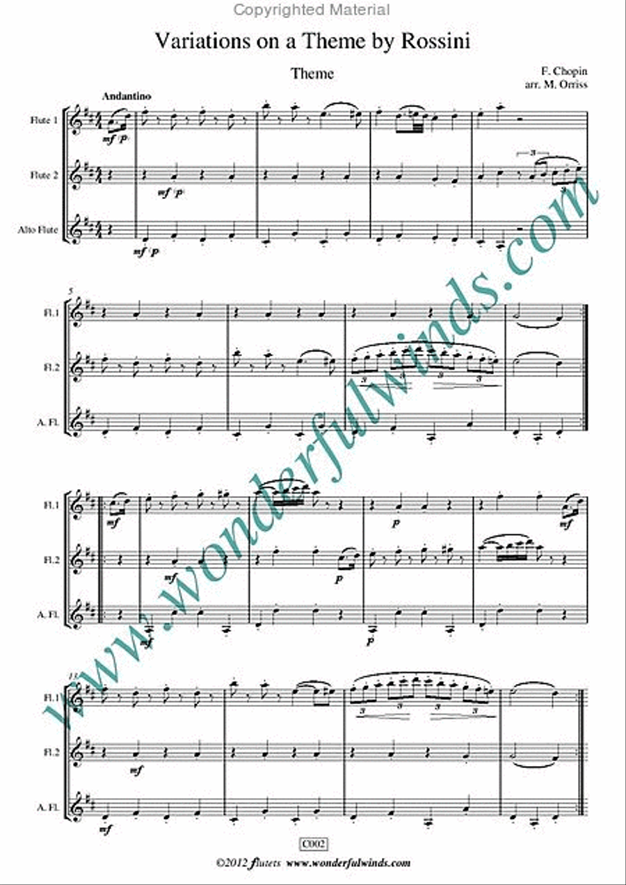 Variations On A Theme By Rossini Flute Trio scores gallery preview page 2