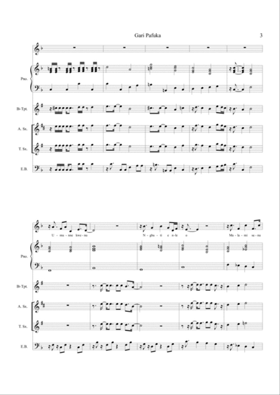 Gari Pafuka Chamber Orchestra scores gallery preview page 3