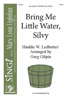 Book cover for Bring Me Little Water, Silvy (SSAB)