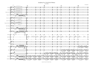 Symphony no.11 (in D Minor)