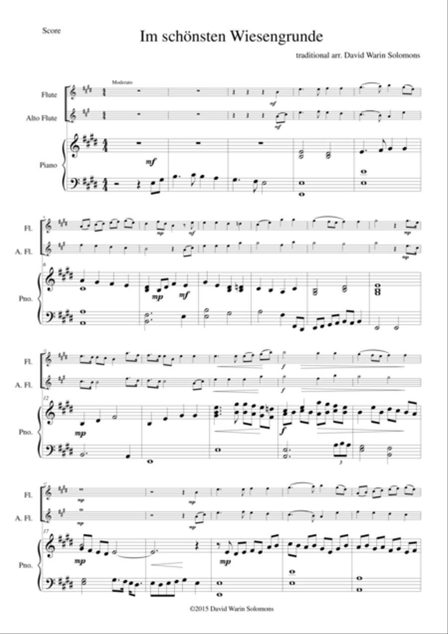 Im schönsten Wiesengrunde for flute, alto flute and piano Flute Solo scores gallery preview page 1