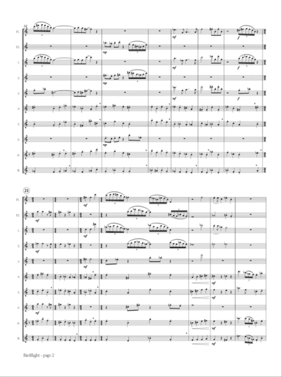 Birdflight for Flute Choir Flute Choir scores gallery preview page 3