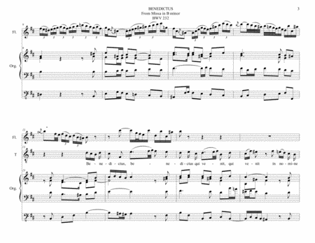 BENEDICTUS - From Missa in B minor BWV 232 - Arr. for Flute, Tenor and organ 3 staff image number null