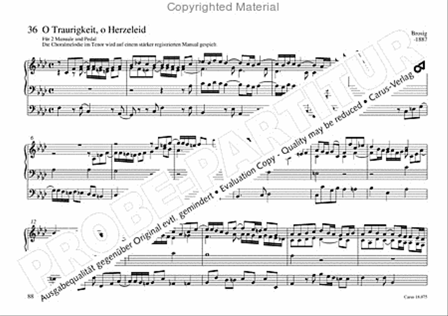 Freiburger Orgelbuch: Stammteil Organ Solo scores gallery preview page 89