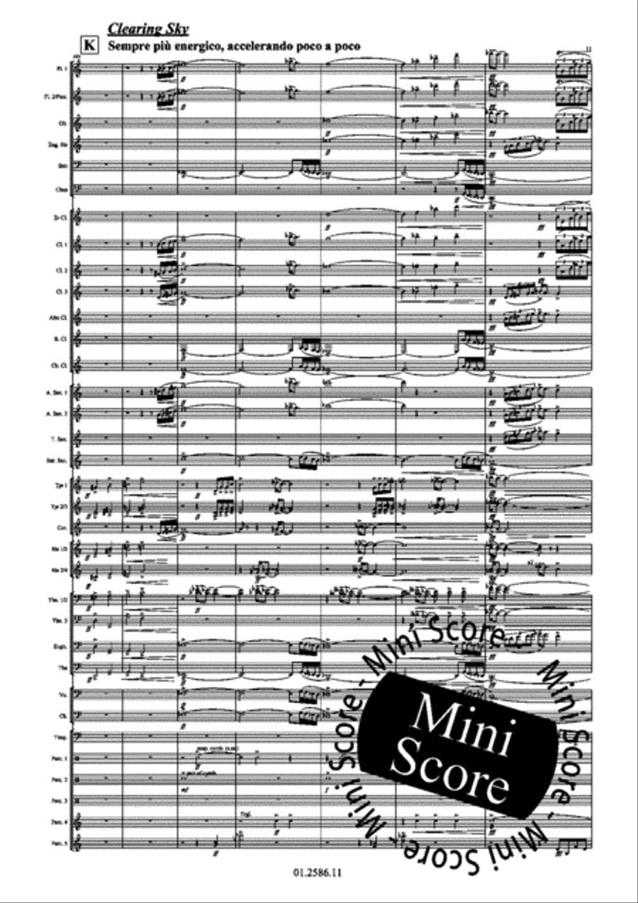 Skies Concert Band scores gallery preview page 19