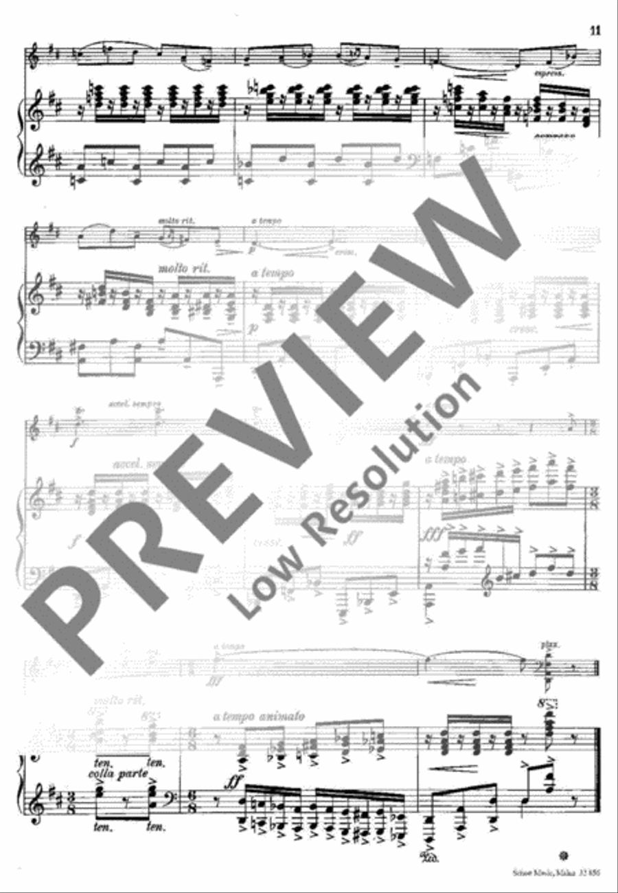 Requiebros D major Piano Accompaniment scores gallery preview page 12
