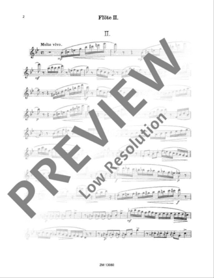 Deux Papillons Flute Duet scores gallery preview page 17