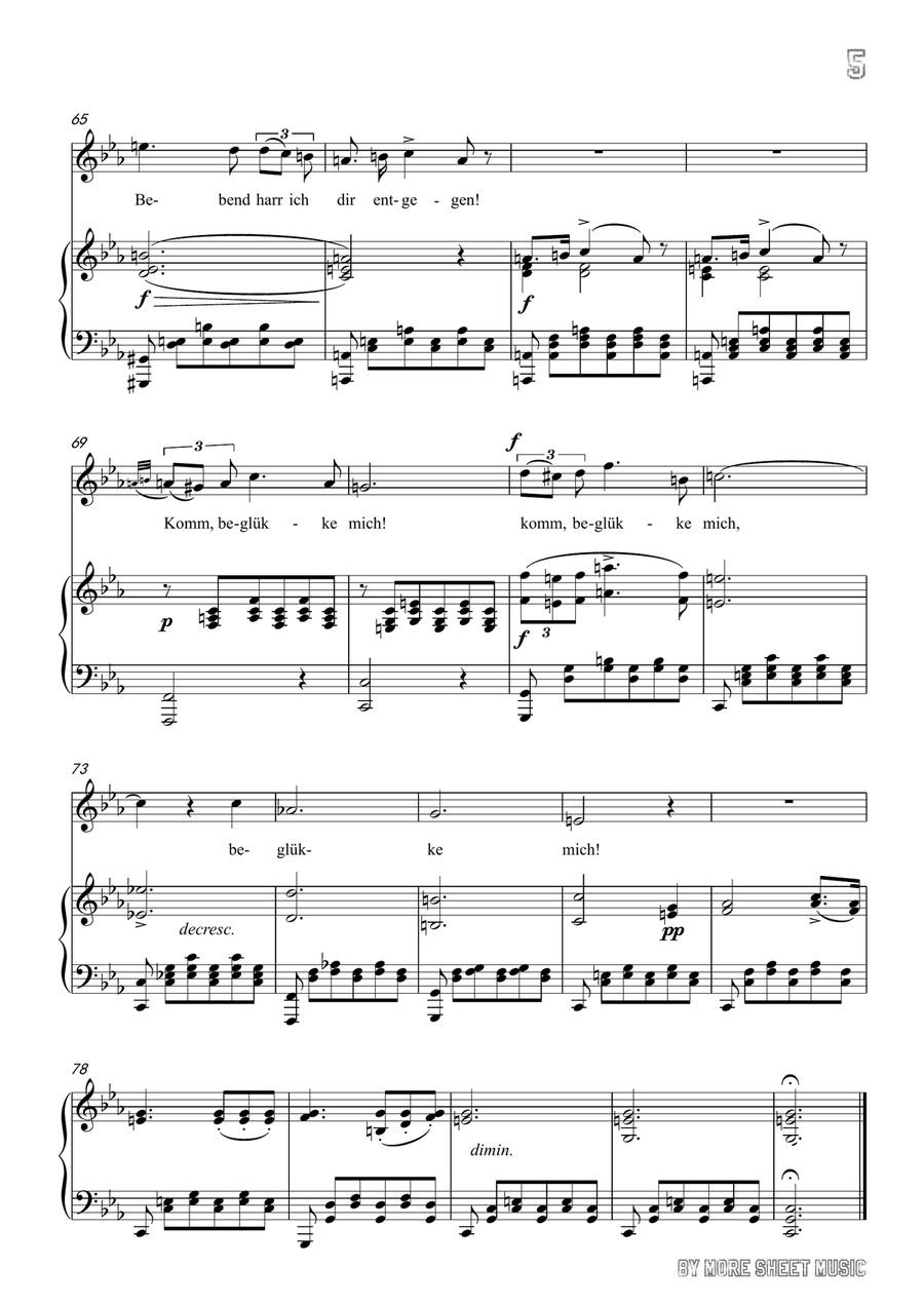 Schubert-Ständchen in c minor,for Vocal and Piano Piano, Vocal scores gallery preview page 6