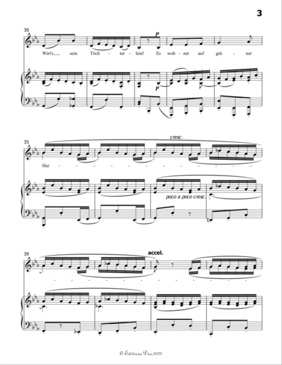 Wer hat dies Liedlein erdacht, by Mahler, in E flat Major Voice scores gallery preview page 5