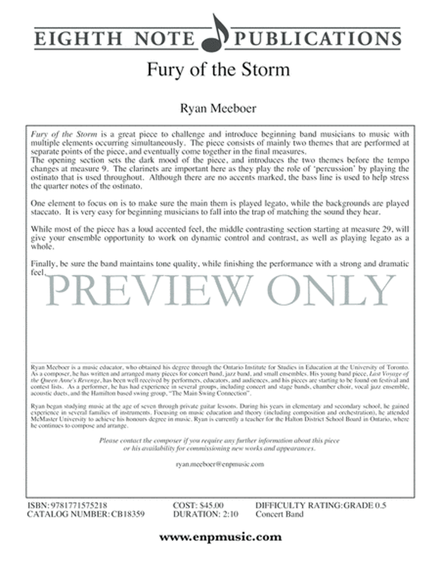Fury of the Storm image number null