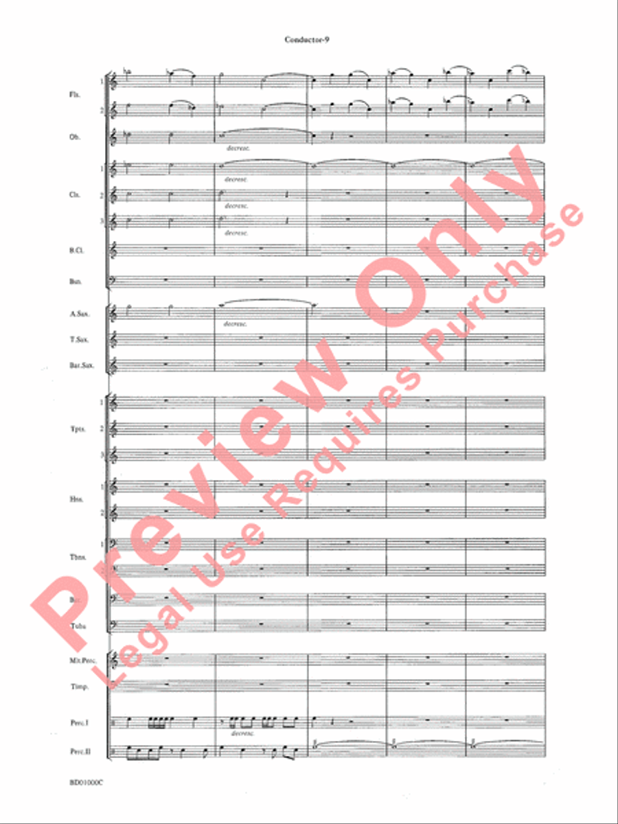 Chant Rituals Chant Rituals Concert Band scores gallery preview page 12