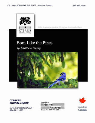Book cover for Born Like the Pines