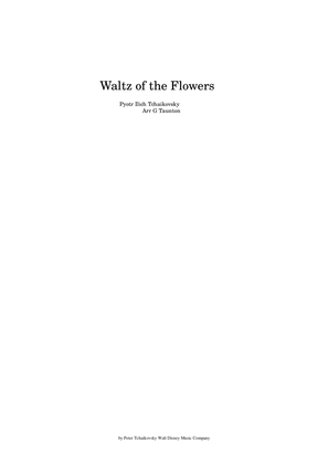 Book cover for Waltz Of Flowers
