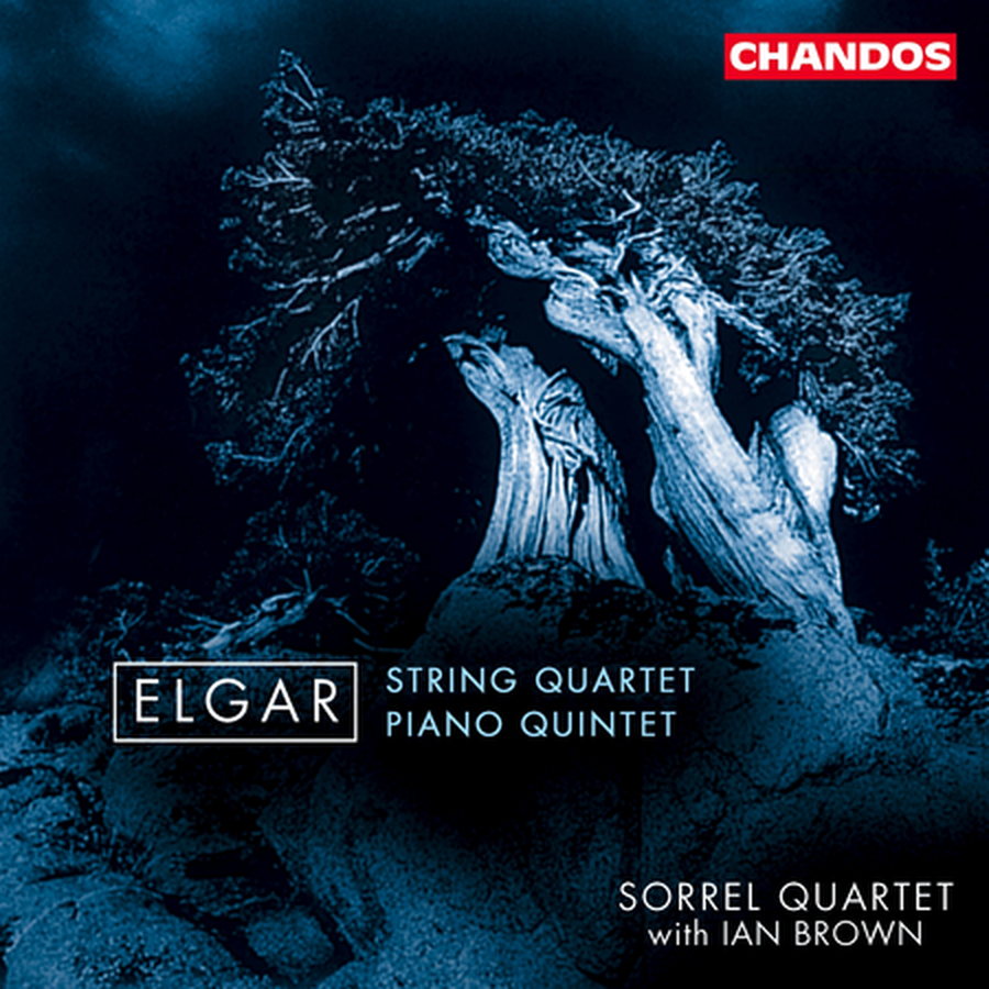String Quartet/ Piano Quintet image number null