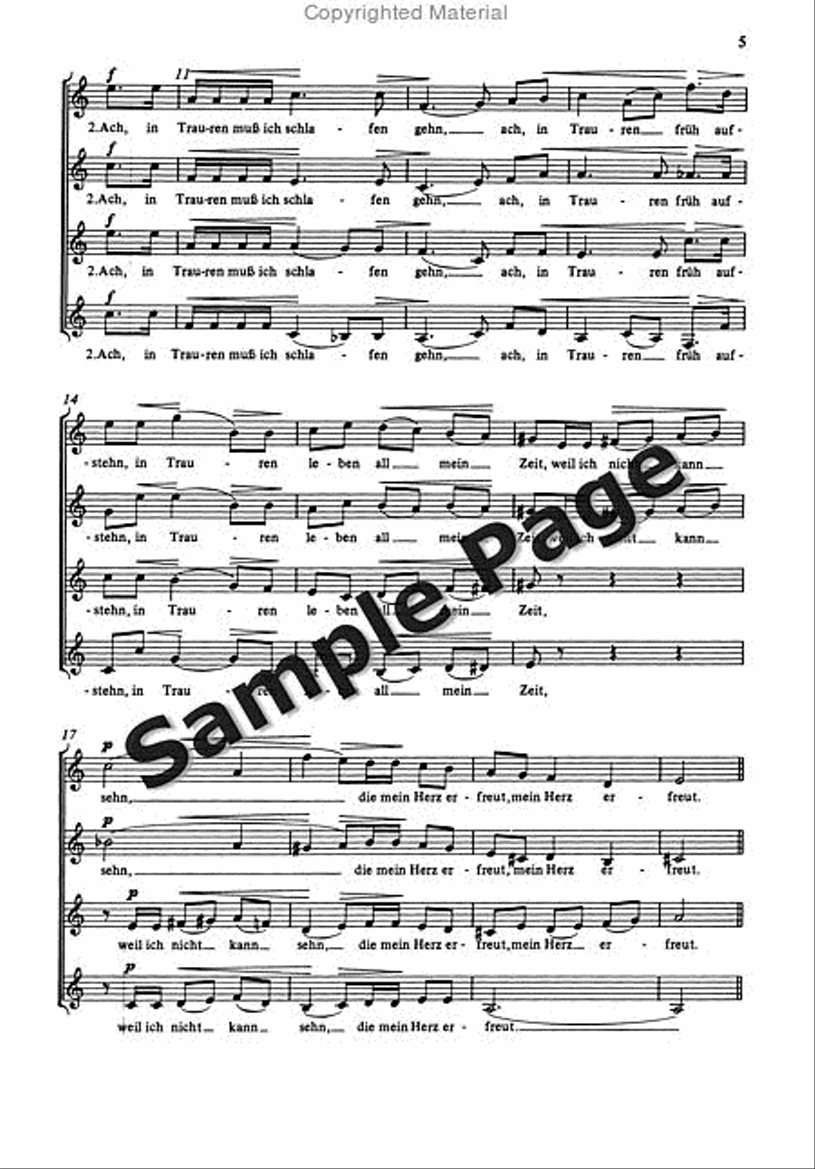Ach Ihr Berg Und Tiefe Tal SSAA scores gallery preview page 6