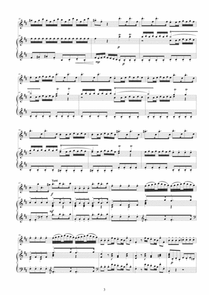 Vivaldi - Flute Concerto No.3 in D major Op.10 'Il Cardellino' RV 428 for Flute and Piano image number null