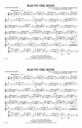 Bad to the Bone: Flute