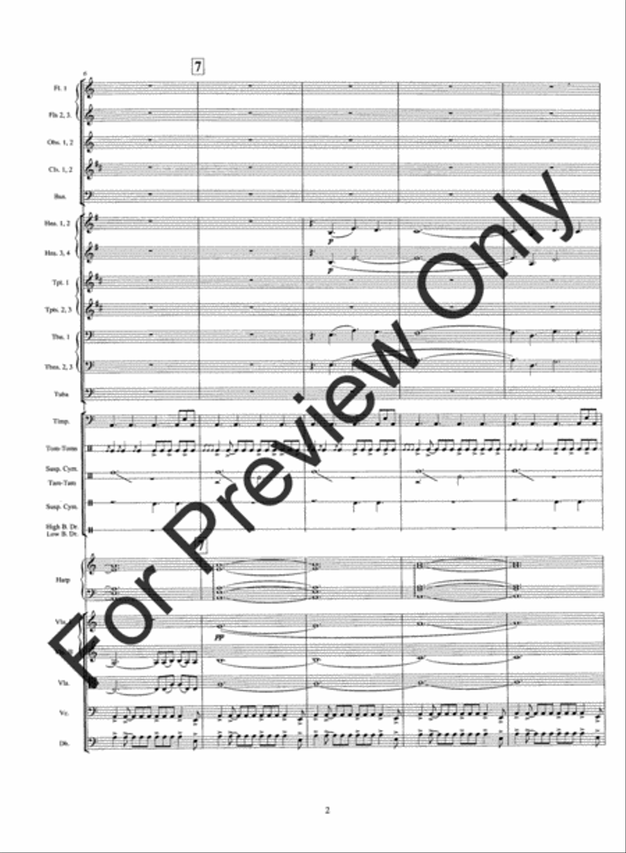 Warrior's Run String Orchestra scores gallery preview page 5