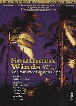 Book cover for Southern Winds: Jazz Flute Jam