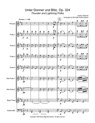 Unter Donner und Blitz, Op. 324 Thunder and Lightning Polka