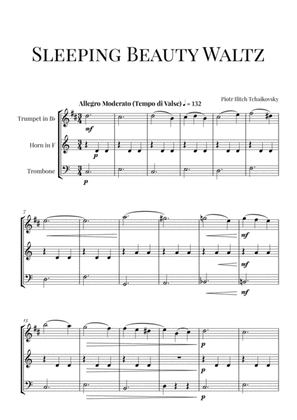Tchaikovsky: Sleeping Beauty Waltz for Trumpet, Horn in F and Trombone (Brass trio)