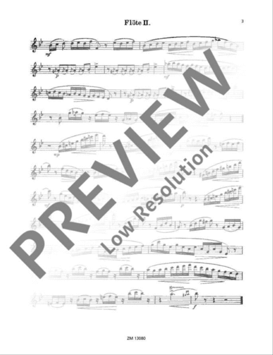 Deux Papillons Deux Papillons Flute Duet scores gallery preview page 18