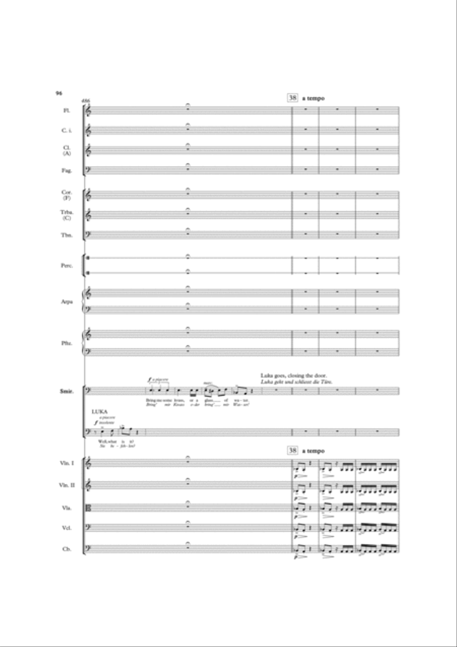 The Bear Chamber Orchestra scores gallery preview page 23