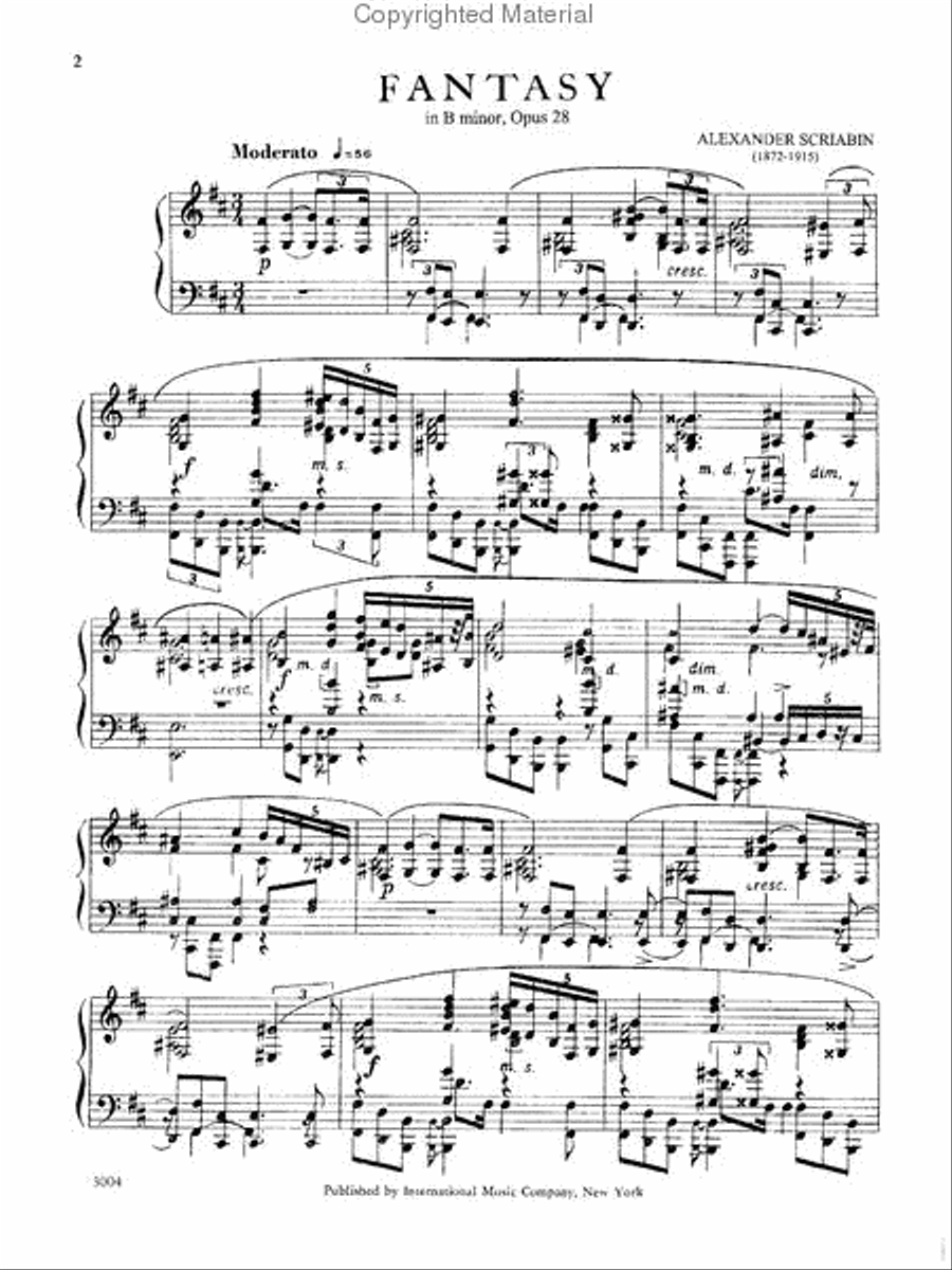 Fantasy In B Minor, Opus 28 Piano Solo scores gallery preview page 2