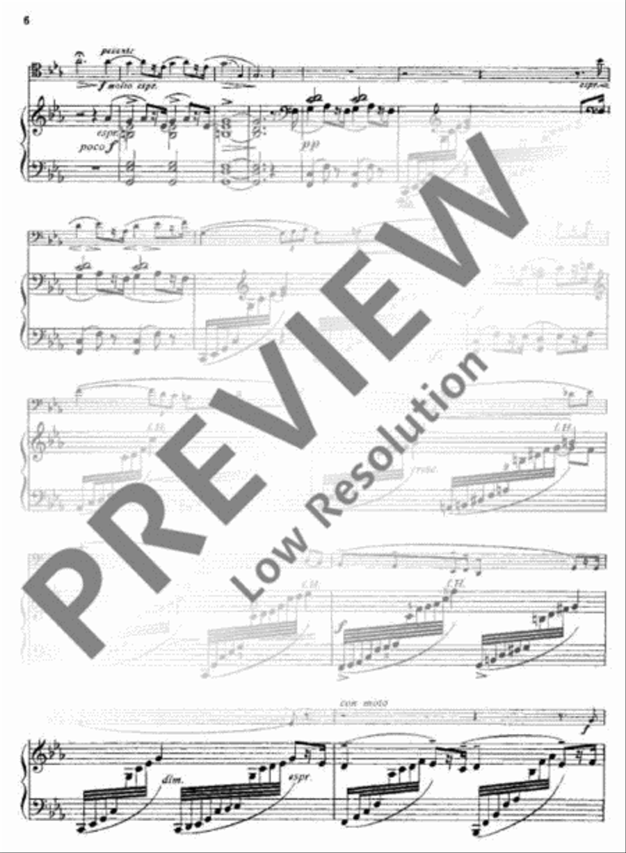 Ode Bassoon Solo scores gallery preview page 9