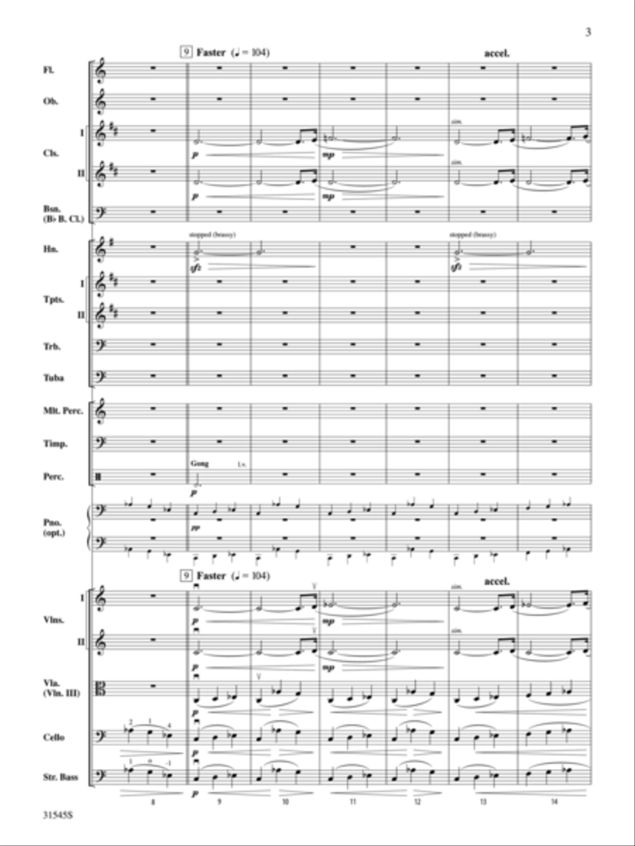 Galileo's Vision Galileo's Vision Full Orchestra scores gallery preview page 3