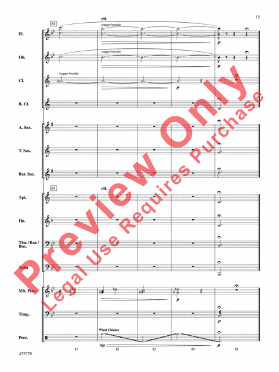 Salamander Eyes Salamander Eyes Concert Band scores gallery preview page 16