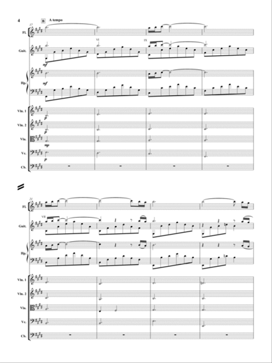 Cavatina Chamber Orchestra scores gallery preview page 5