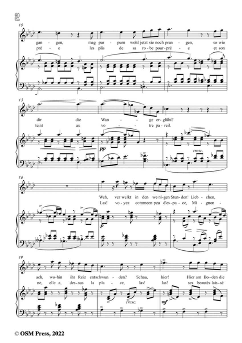 R. Wagner-Mignonne(Liebchen) ,WWV 57,in A flat Major,for Voice and Piano image number null