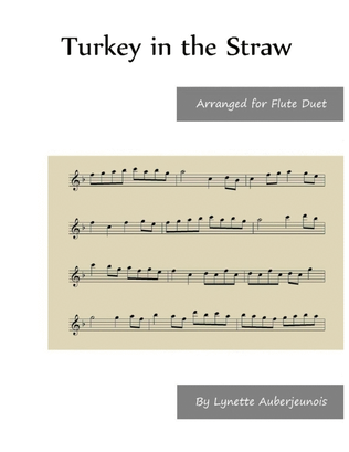 Book cover for Turkey in the Straw - Flute Duet