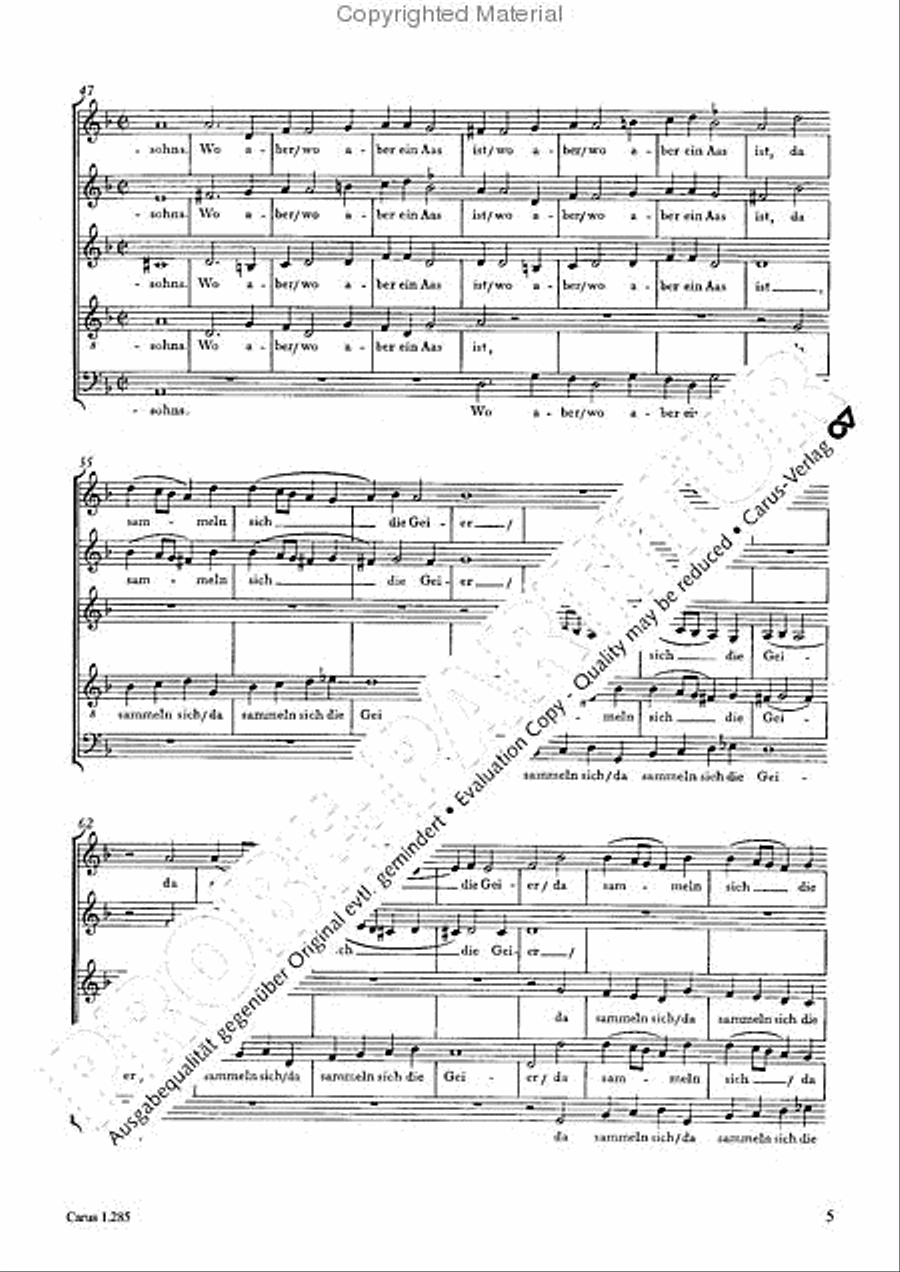 Gleichwie der Blitz SSATB scores gallery preview page 6