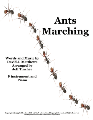 Ants Marching