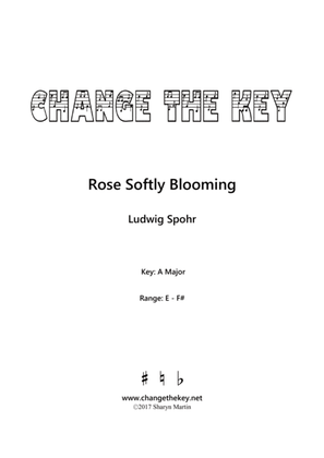 Rose Softly Blooming - A Major