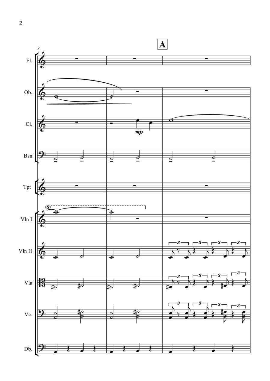 Summertime Chamber Orchestra scores gallery preview page 4
