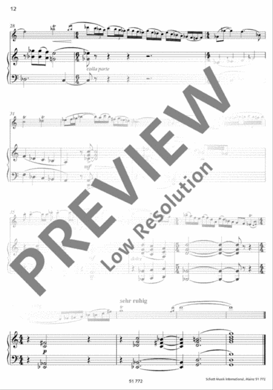 Petite Aire et Improvisation Flute Solo scores gallery preview page 13