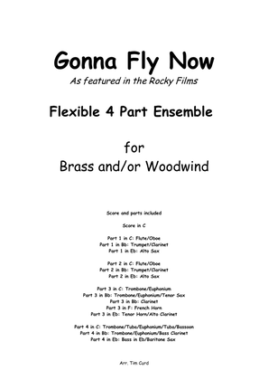 Book cover for Gonna Fly Now