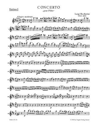 Konzert fur Flote und Streicher for Flute and Strings D major op. 27