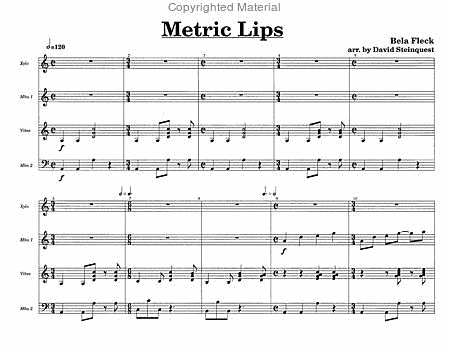 Metric Lips image number null