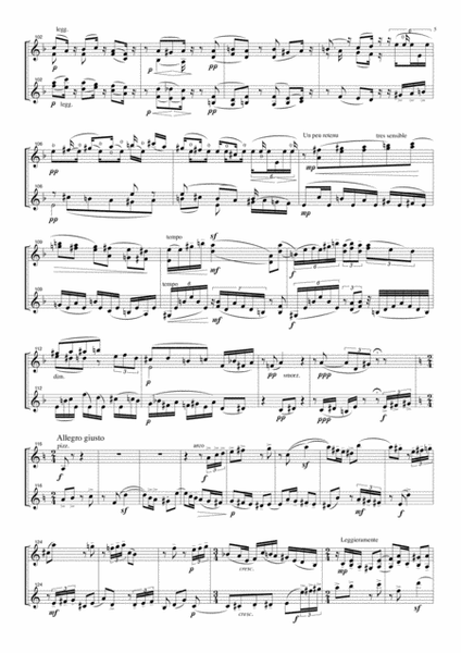 Sonata for two violins