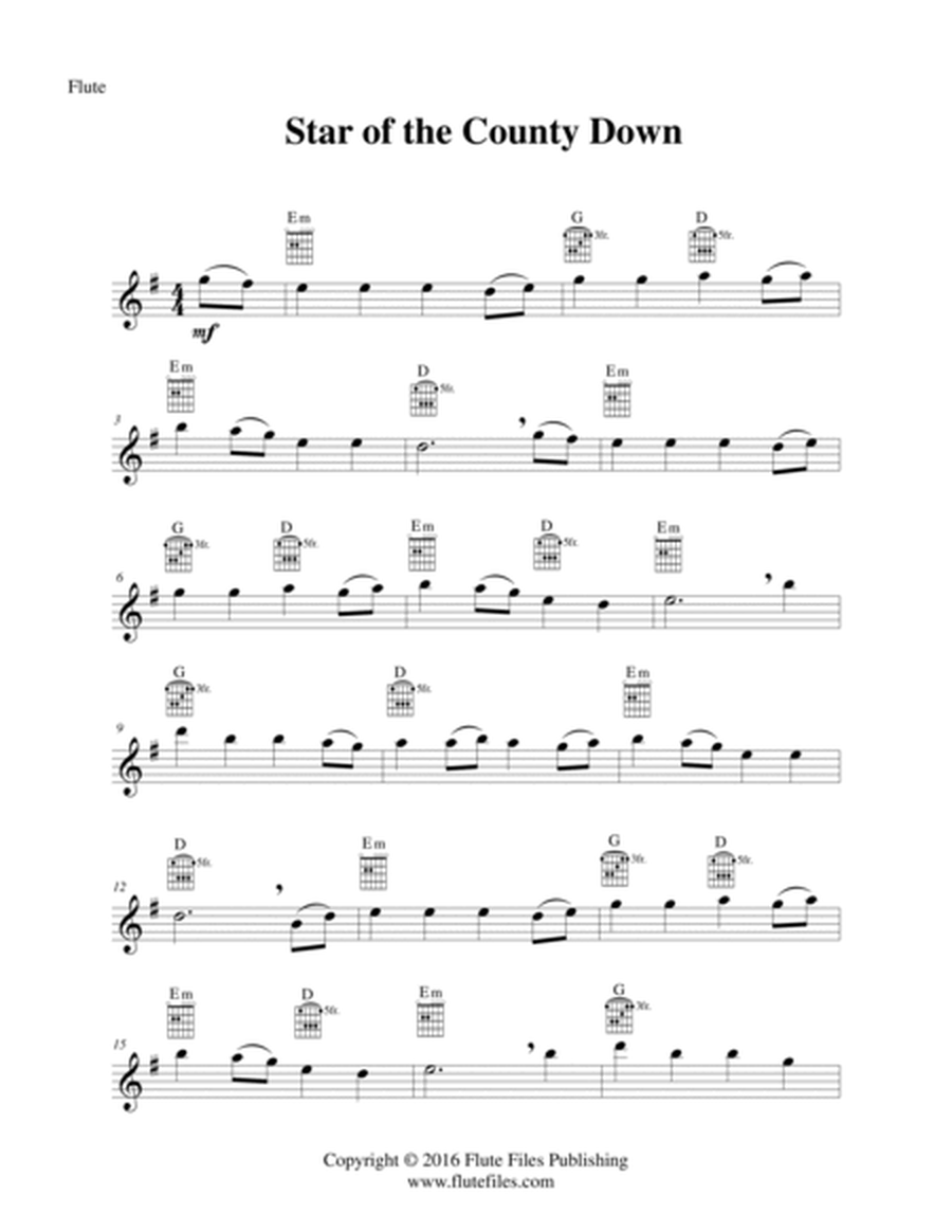 Star of the County Down - Flute Solo with Guitar Chords image number null