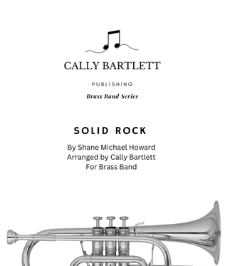 Book cover for Solid Rock