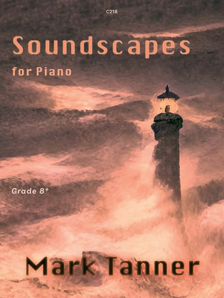 Book cover for Soundscapes